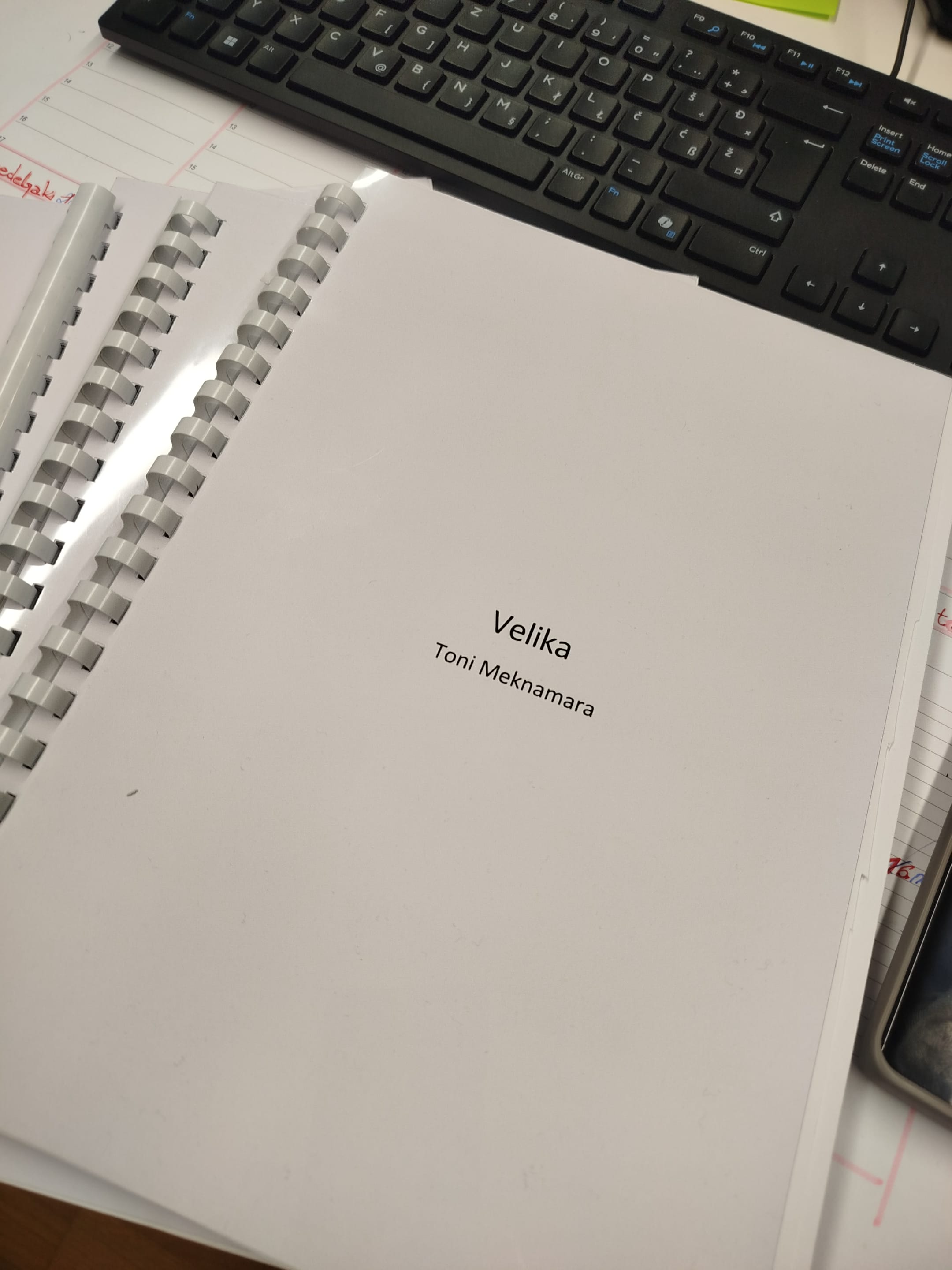 Аудиција за ВЕЛИКУ