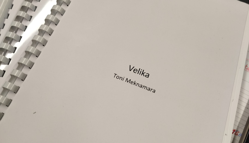 Audicija za VELIKU